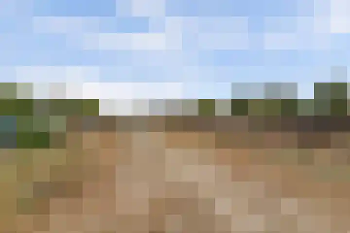 Beijerscheweg 95 Stolwijk thumbnail 77