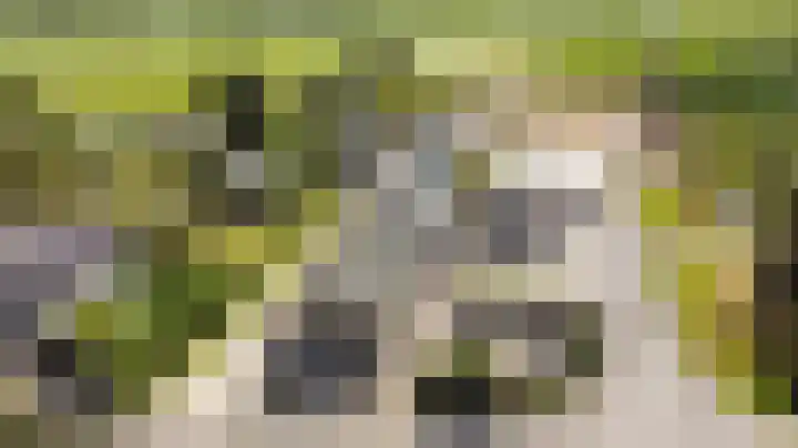 Beijerscheweg 95 Stolwijk thumbnail 79