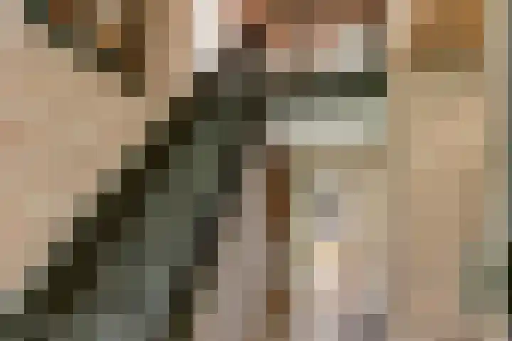 Beijersdiek 7 Winterswijk Meddo thumbnail 10