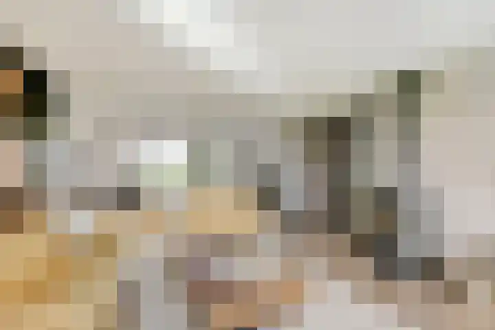 Beijersdiek 7 Winterswijk Meddo thumbnail 16