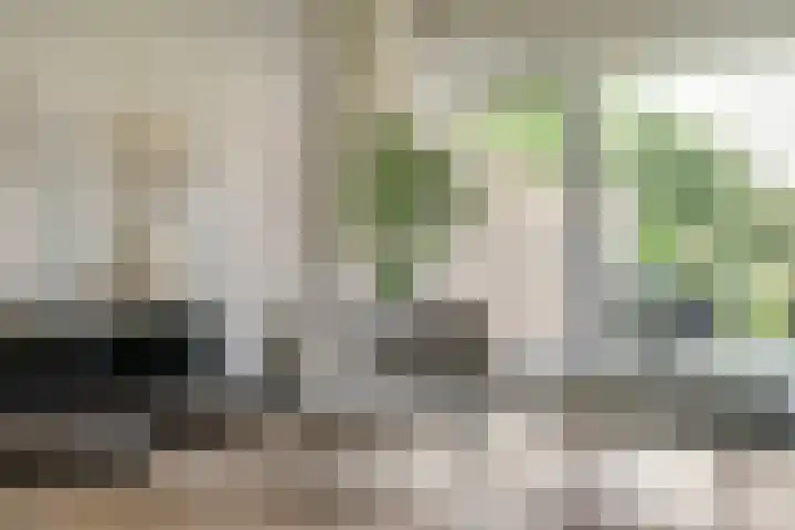 Beijersdiek 7 Winterswijk Meddo thumbnail 18