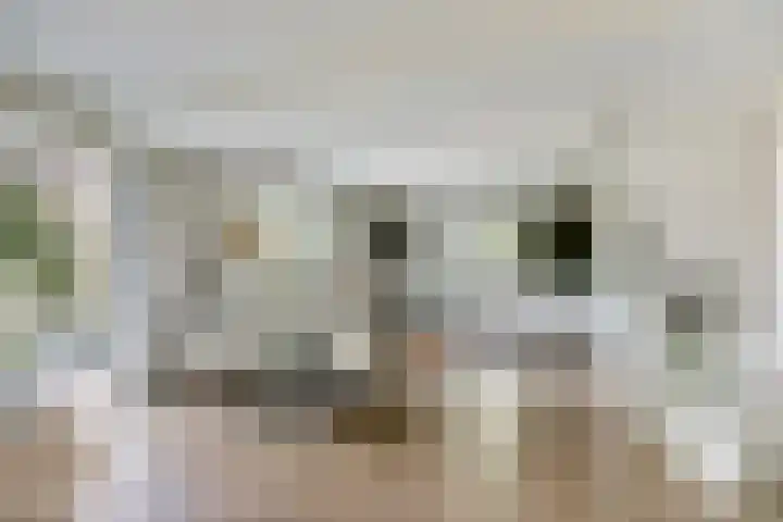 Beijersdiek 7 Winterswijk Meddo thumbnail 19