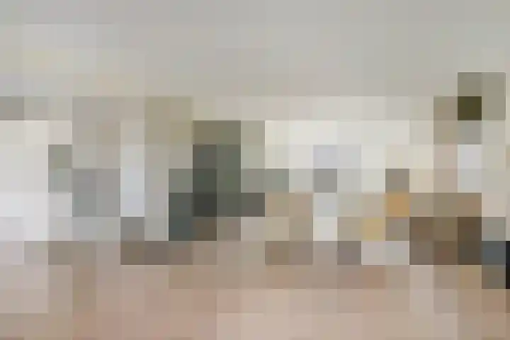 Beijersdiek 7 Winterswijk Meddo thumbnail 20