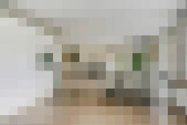 Beijersdiek 7 Winterswijk Meddo thumbnail 21