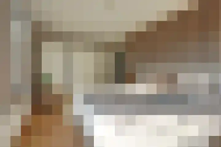Beijersdiek 7 Winterswijk Meddo thumbnail 23