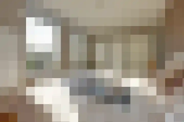 Beijersdiek 7 Winterswijk Meddo thumbnail 24
