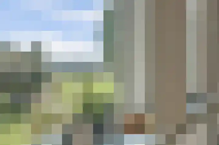Beijersdiek 7 Winterswijk Meddo thumbnail 25