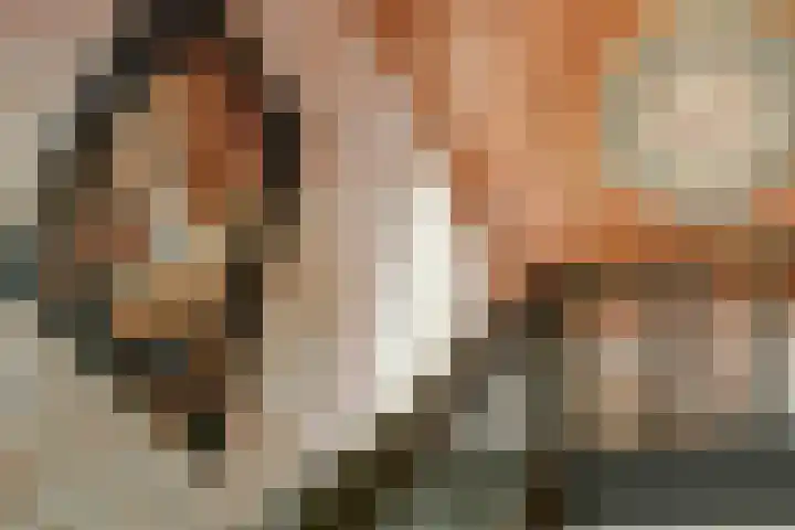 Beijersdiek 7 Winterswijk Meddo thumbnail 26