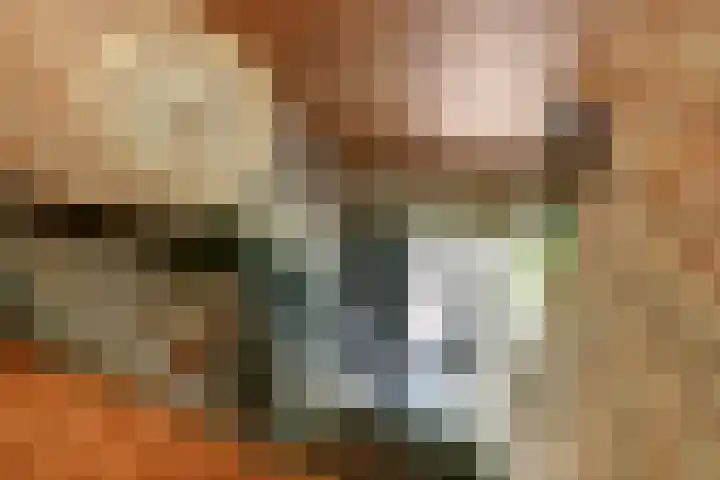Beijersdiek 7 Winterswijk Meddo thumbnail 27