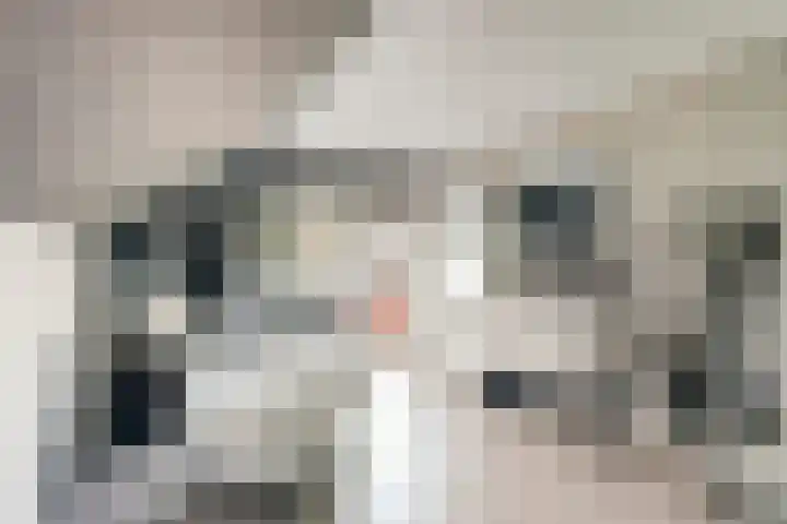 Beijersdiek 7 Winterswijk Meddo thumbnail 32