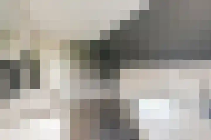 Beijersdiek 7 Winterswijk Meddo thumbnail 33