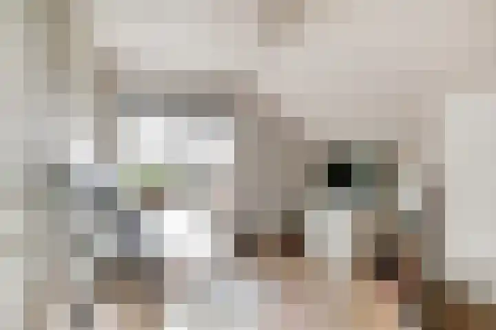 Beijersdiek 7 Winterswijk Meddo thumbnail 34
