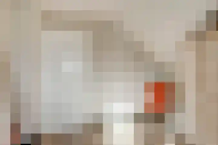Beijersdiek 7 Winterswijk Meddo thumbnail 37