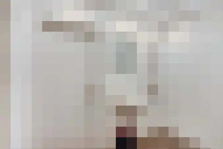 Beijersdiek 7 Winterswijk Meddo thumbnail 39
