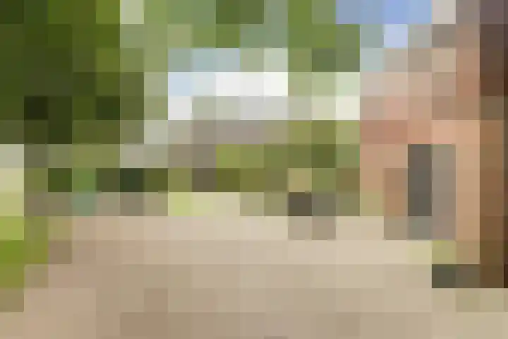 Beijersdiek 7 Winterswijk Meddo thumbnail 40