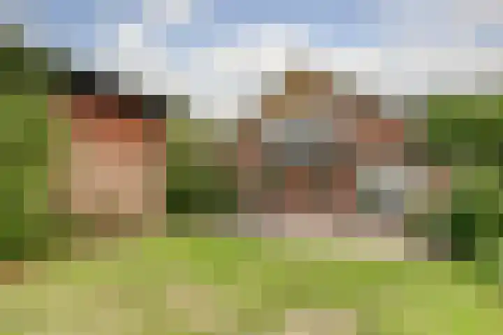 Beijersdiek 7 Winterswijk Meddo thumbnail 41