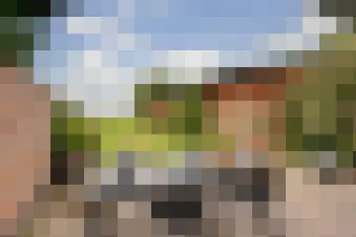 Beijersdiek 7 Winterswijk Meddo thumbnail 42