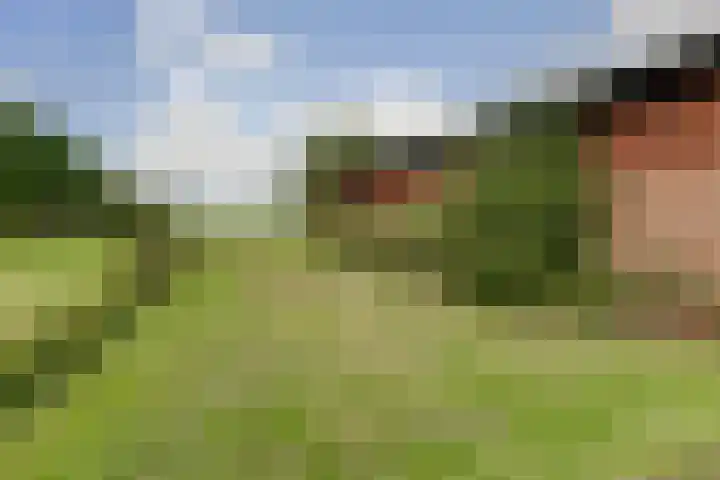 Beijersdiek 7 Winterswijk Meddo thumbnail 43
