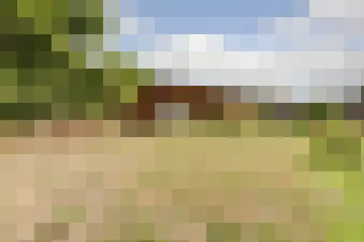 Beijersdiek 7 Winterswijk Meddo thumbnail 44
