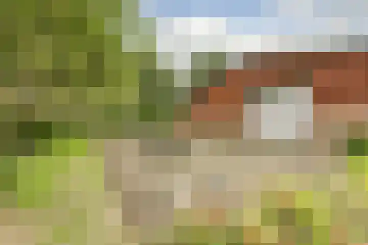 Beijersdiek 7 Winterswijk Meddo thumbnail 45