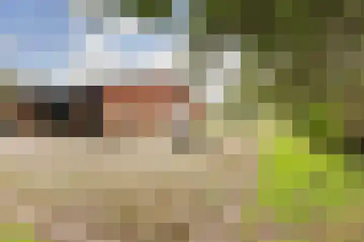 Beijersdiek 7 Winterswijk Meddo thumbnail 46