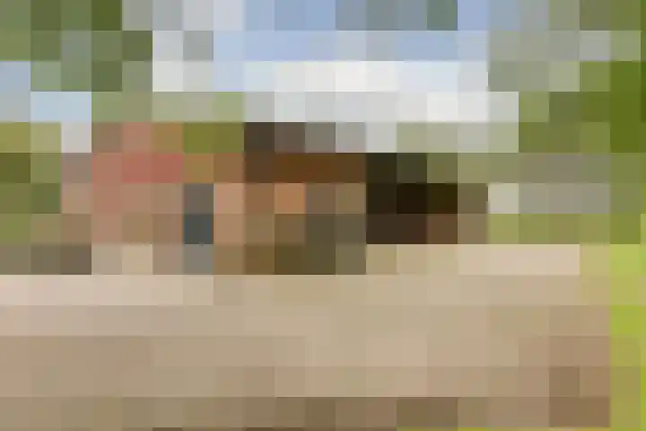 Beijersdiek 7 Winterswijk Meddo thumbnail 47