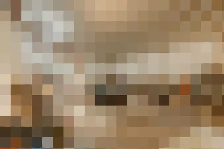 Beijersdiek 7 Winterswijk Meddo thumbnail 48