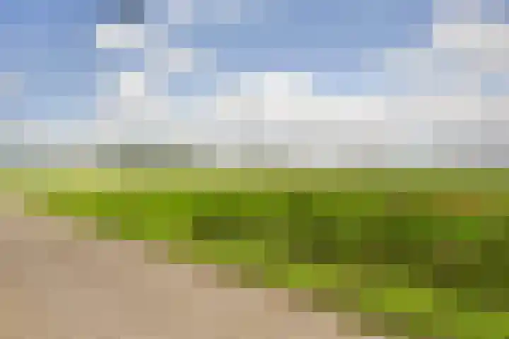 Beijersdiek 7 Winterswijk Meddo thumbnail 49