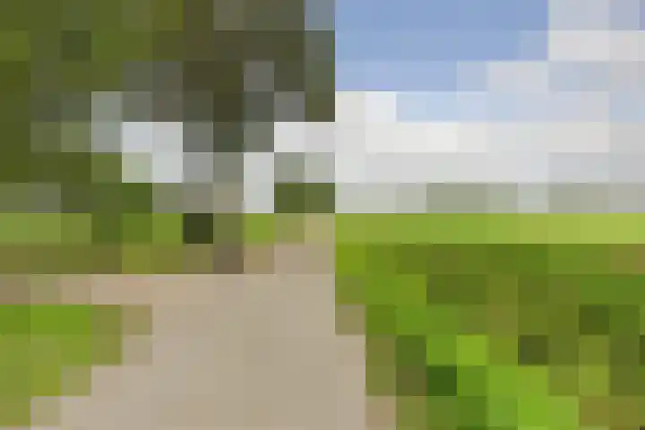 Beijersdiek 7 Winterswijk Meddo thumbnail 50