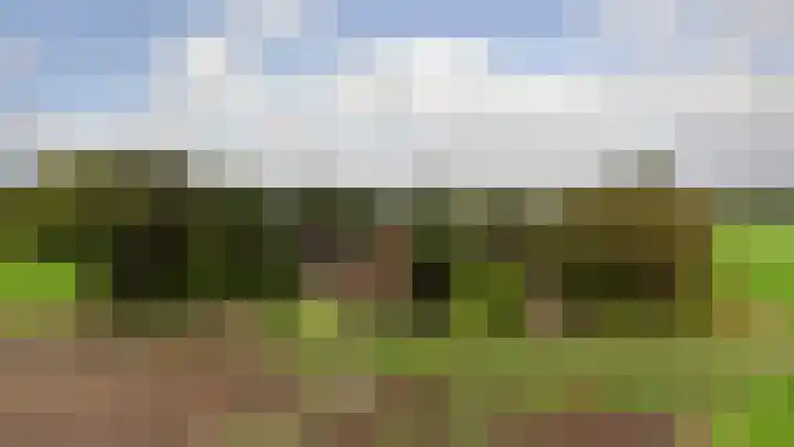 Beijersdiek 7 Winterswijk Meddo thumbnail 53