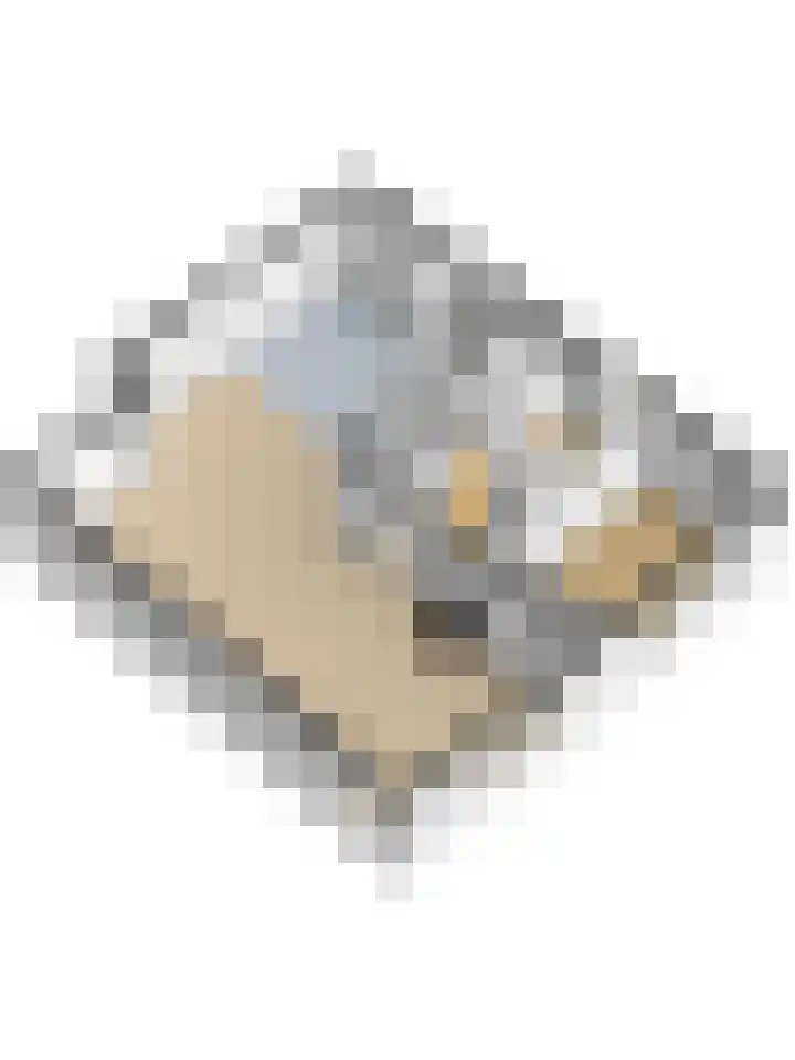 Beijersdiek 7 Winterswijk Meddo thumbnail 55