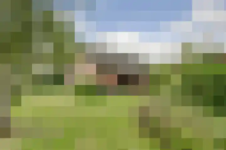 Beijersdiek 7 Winterswijk Meddo thumbnail 6