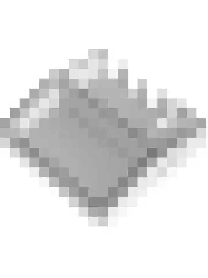 Beijersdiek 7 Winterswijk Meddo thumbnail 61