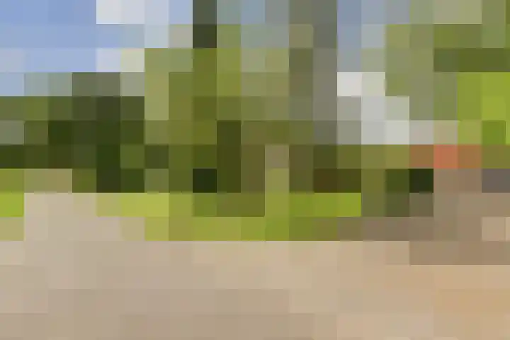 Beijersdiek 7 Winterswijk Meddo thumbnail 7