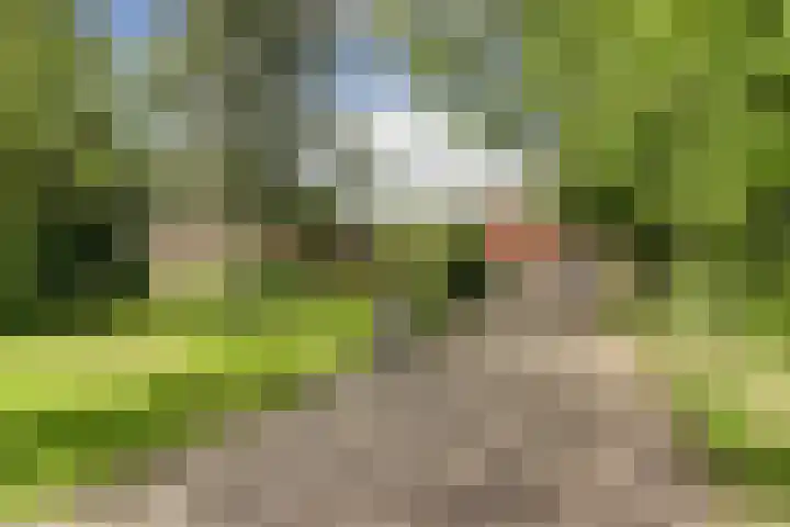 Beijersdiek 7 Winterswijk Meddo thumbnail 8