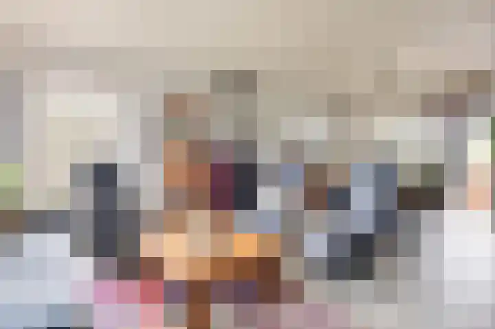 Beijerstraat 12 Nieuwstadt thumbnail 15