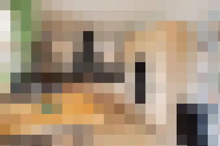 Beijerstraat 12 Nieuwstadt thumbnail 17