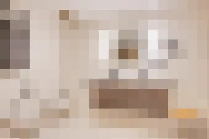 Beijerstraat 12 Nieuwstadt thumbnail 23