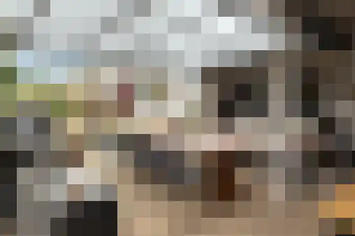 Beijerstraat 12 Nieuwstadt thumbnail 36