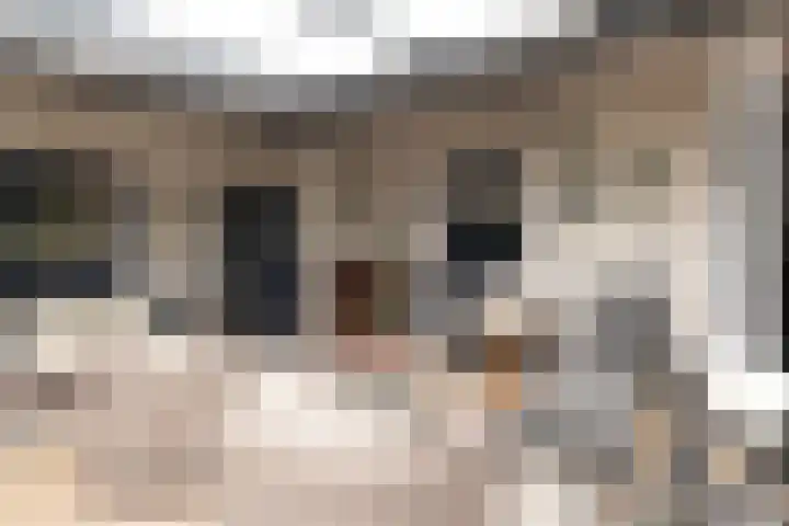 Beijerstraat 12 Nieuwstadt thumbnail 37