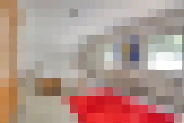 Beijlkensweg 118 Oirsbeek thumbnail 19