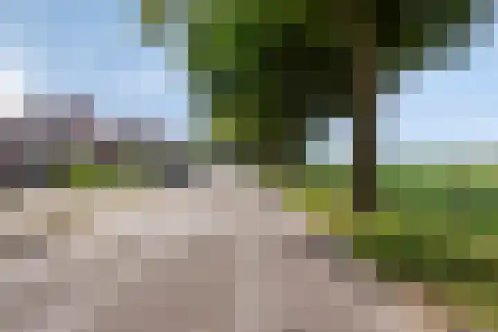 Beijlkensweg 118 Oirsbeek thumbnail 28