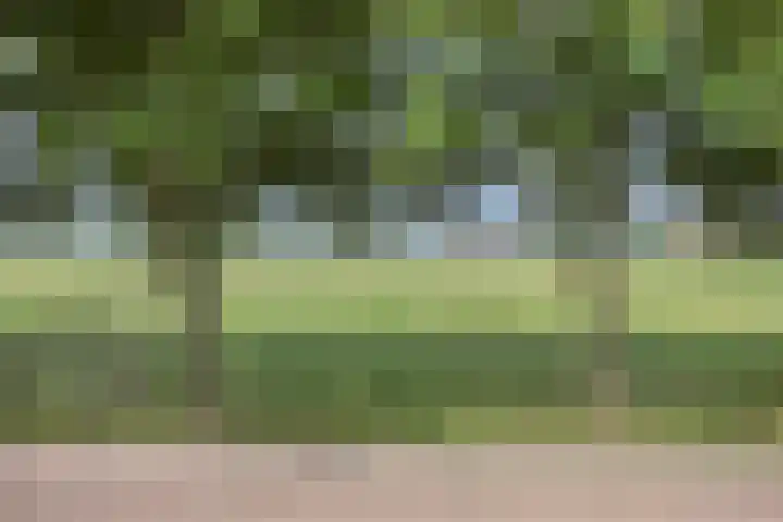 Beijlkensweg 118 Oirsbeek thumbnail 29