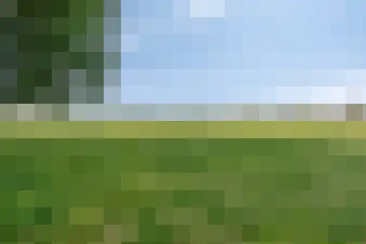 Beijlkensweg 118 Oirsbeek thumbnail 30