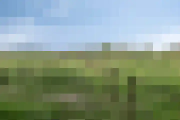 Beijlkensweg 118 Oirsbeek thumbnail 31