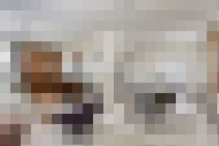 Beijlkensweg 118 Oirsbeek thumbnail 6