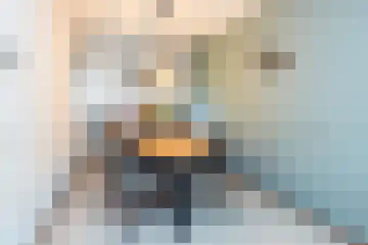 Beijlkensweg 56 Oirsbeek thumbnail 11