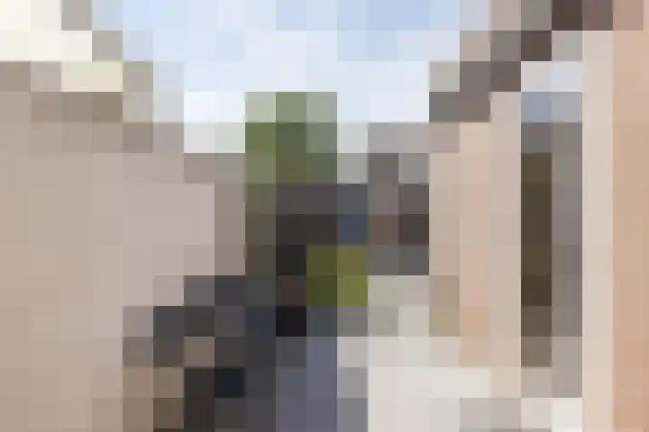 Beijlkensweg 56 Oirsbeek thumbnail 24
