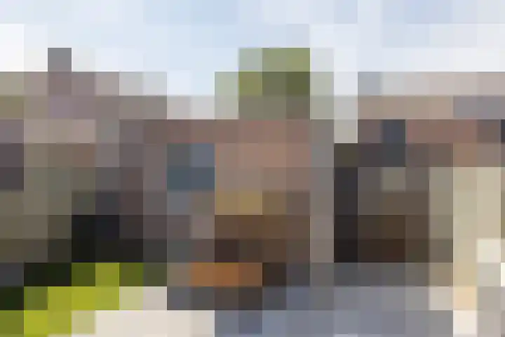 Beijlkensweg 56 Oirsbeek thumbnail 25