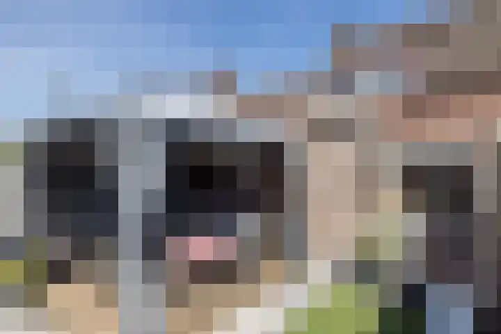 Beijlkensweg 56 Oirsbeek thumbnail 26
